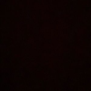 Meet your Posher, Dianne